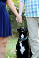 Josh and Lisa Engagement Fall 2015 (22)