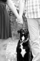 Josh and Lisa Engagement Fall 2015 (21)