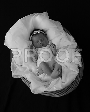 Newborn