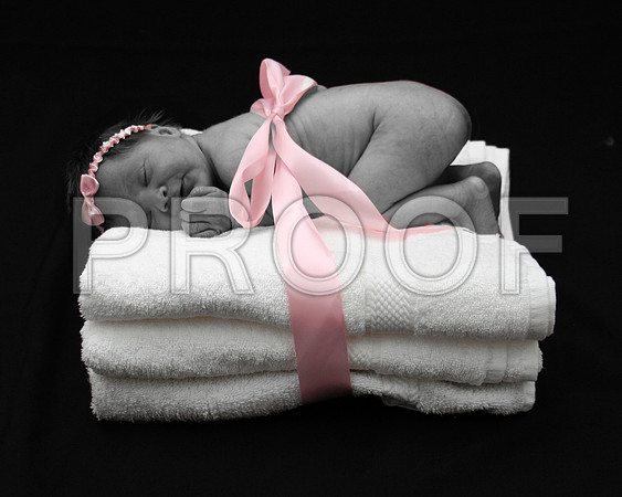 Newborn